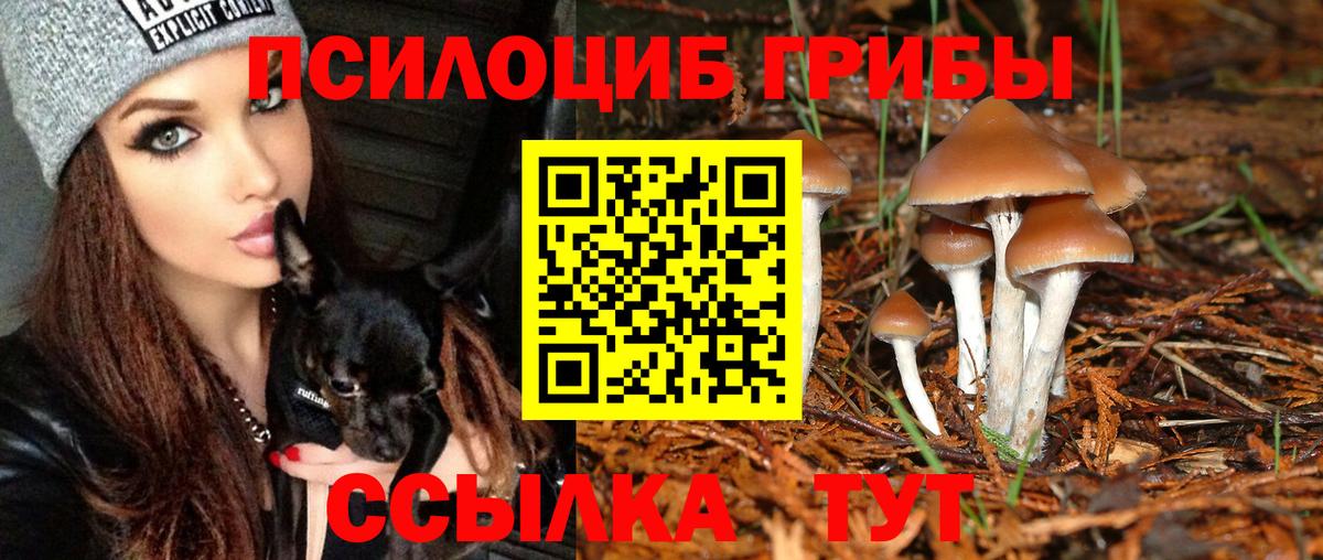 сколько стоит  Вход с VPN  Дзержинский  Псилоцибиновые грибы MAGIC MUSHROOMS 