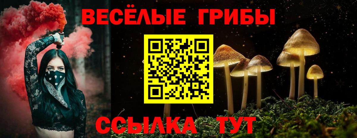 Галлюциногенные грибы ЛСД Дзержинский